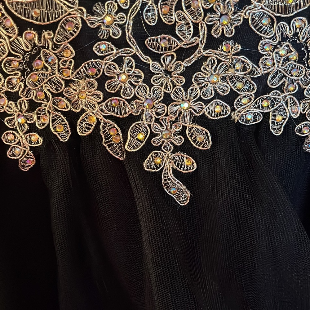 NWT Lenovia Off the shoulder Appliqué Tulle Dress - Picture 5 of 15